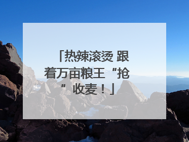 热辣滚烫 跟着万亩粮王“抢”收麦！