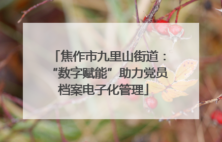 焦作市九里山街道：“数字赋能”助力党员档案电子化管理
