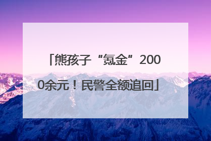 熊孩子“氪金”2000余元！民警全额追回