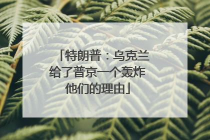 特朗普：乌克兰给了普京一个轰炸他们的理由