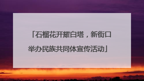 石榴花开耀白塔，新街口举办民族共同体宣传活动