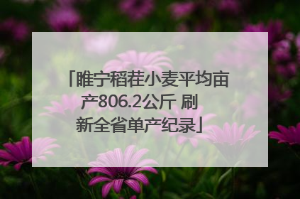 睢宁稻茬小麦平均亩产806.2公斤 刷新全省单产纪录