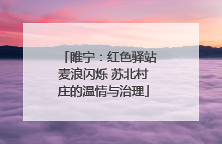 睢宁：红色驿站麦浪闪烁 苏北村庄的温情与治理