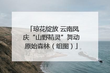 琼花绽放 云南凤庆“山野精灵”舞动原始森林（组图）