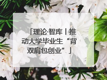 理论·智库丨推动大学毕业生“背双肩包创业”