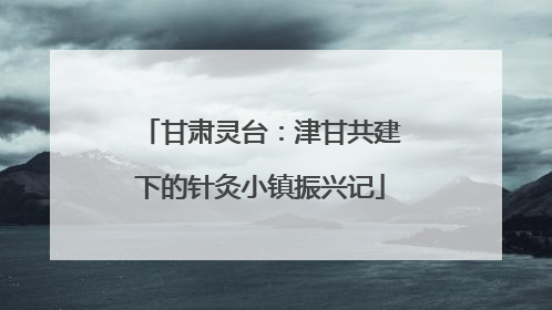 甘肃灵台：津甘共建下的针灸小镇振兴记