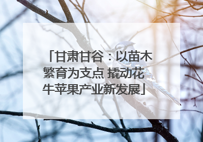 甘肃甘谷：以苗木繁育为支点 撬动花牛苹果产业新发展