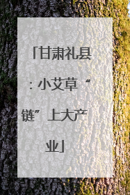 甘肃礼县：小艾草“链”上大产业