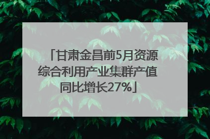 甘肃金昌前5月资源综合利用产业集群产值同比增长27%
