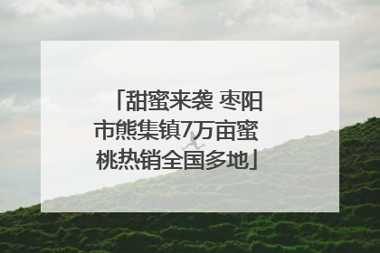甜蜜来袭 枣阳市熊集镇7万亩蜜桃热销全国多地