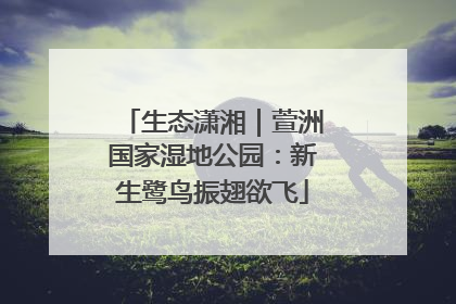 生态潇湘｜萱洲国家湿地公园：新生鹭鸟振翅欲飞
