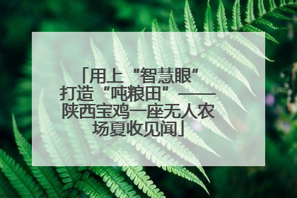用上“智慧眼” 打造“吨粮田”——陕西宝鸡一座无人农场夏收见闻