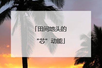 田间地头的“芯”动能