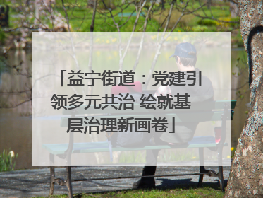 益宁街道：党建引领多元共治 绘就基层治理新画卷