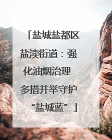 盐城盐都区盐渎街道：强化油烟治理 多措并举守护“盐城蓝”