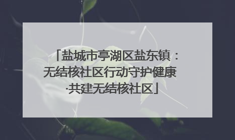 盐城市亭湖区盐东镇：无结核社区行动守护健康 ·共建无结核社区