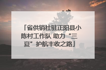 省供销社驻正阳县小陈村工作队 助力“三夏”护航丰收之路