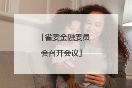 省委金融委员会召开会议