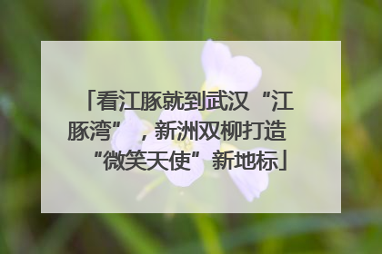 看江豚就到武汉“江豚湾”，新洲双柳打造“微笑天使”新地标
