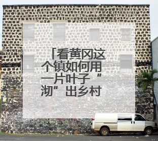 看黄冈这个镇如何用一片叶子“沏”出乡村振兴路