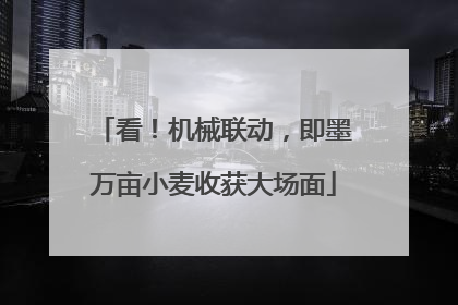 看！机械联动，即墨万亩小麦收获大场面