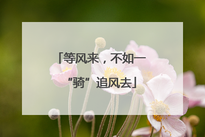 等风来，不如一“骑”追风去