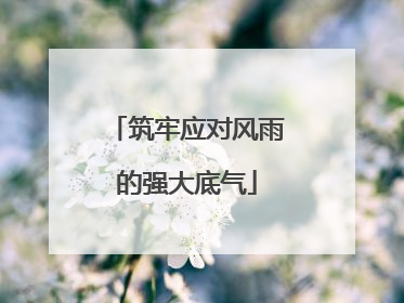 筑牢应对风雨的强大底气