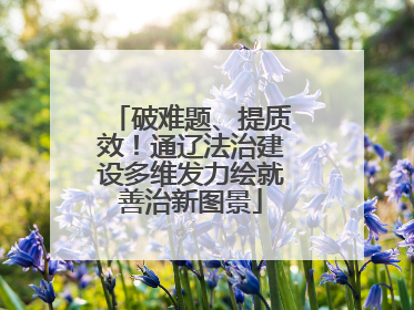 破难题、提质效！通辽法治建设多维发力绘就善治新图景