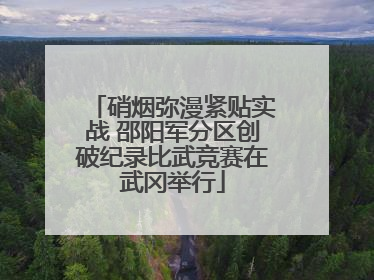 硝烟弥漫紧贴实战 邵阳军分区创破纪录比武竞赛在武冈举行