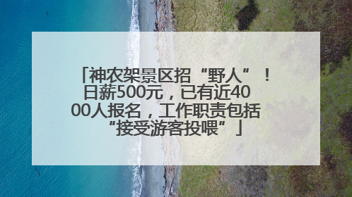 神农架景区招“野人”！日薪500元，已有近4000人报名，工作职责包括“接受游客投喂”