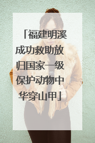福建明溪成功救助放归国家一级保护动物中华穿山甲