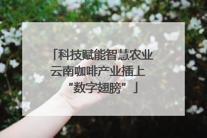 科技赋能智慧农业 云南咖啡产业插上“数字翅膀”