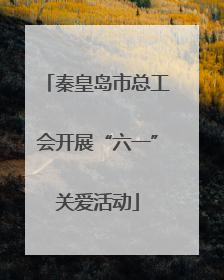 秦皇岛市总工会开展“六一”关爱活动