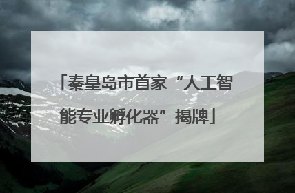秦皇岛市首家“人工智能专业孵化器”揭牌