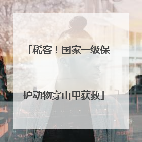 稀客！国家一级保护动物穿山甲获救