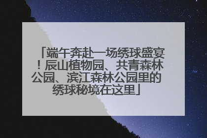端午奔赴一场绣球盛宴！辰山植物园、共青森林公园、滨江森林公园里的绣球秘境在这里