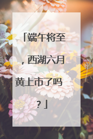 端午将至，西湖六月黄上市了吗？