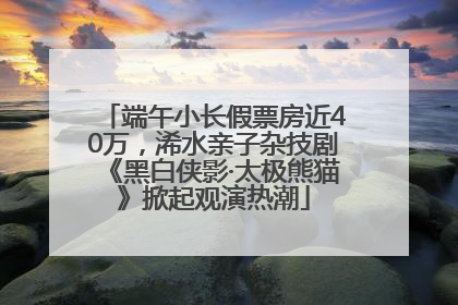 端午小长假票房近40万，浠水亲子杂技剧《黑白侠影·太极熊猫》掀起观演热潮