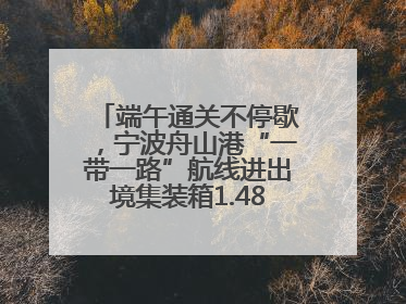 端午通关不停歇，宁波舟山港“一带一路”航线进出境集装箱1.48万标箱