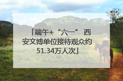 端午+“六一” 西安文博单位接待观众约51.34万人次