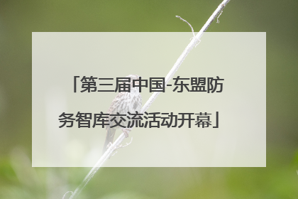 第三届中国-东盟防务智库交流活动开幕