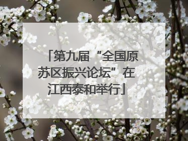 第九届“全国原苏区振兴论坛”在江西泰和举行