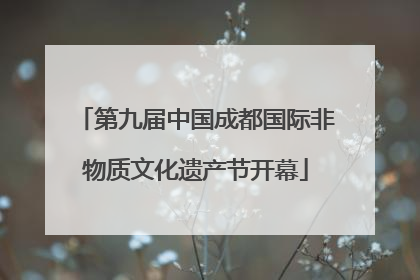 第九届中国成都国际非物质文化遗产节开幕