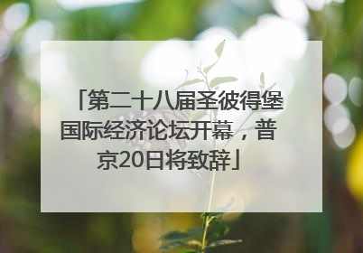 第二十八届圣彼得堡国际经济论坛开幕，普京20日将致辞