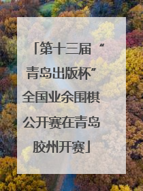 第十三届“青岛出版杯”全国业余围棋公开赛在青岛胶州开赛