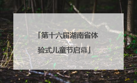 第十六届湖南省体验式儿童节启幕