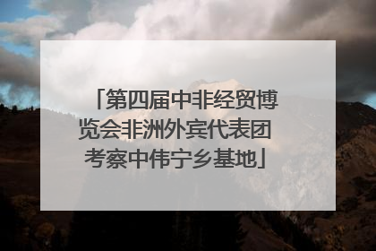第四届中非经贸博览会非洲外宾代表团考察中伟宁乡基地