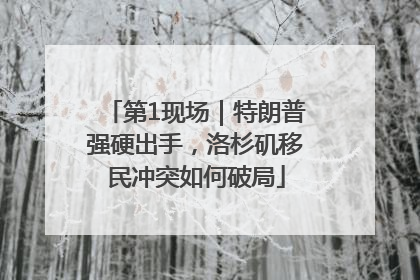 第1现场｜特朗普强硬出手，洛杉矶移民冲突如何破局