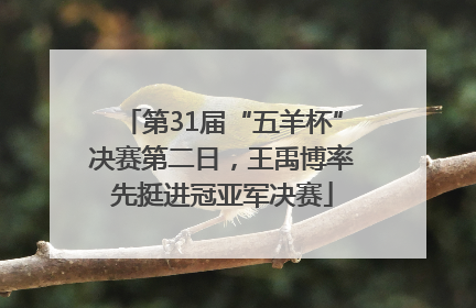 第31届“五羊杯”决赛第二日，王禹博率先挺进冠亚军决赛