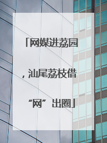 网媒进荔园，汕尾荔枝借“网”出圈